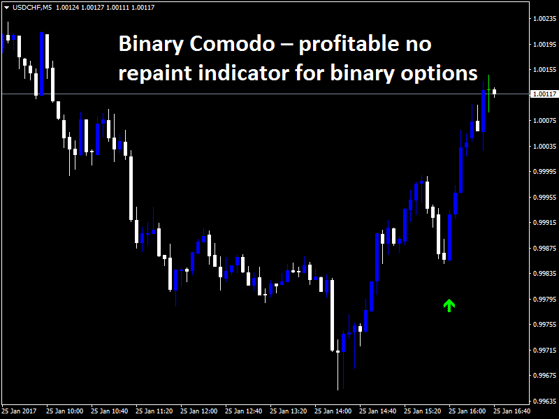 Binary option no repaint indicator